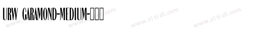 URW Garamond-MEDIUM字体转换